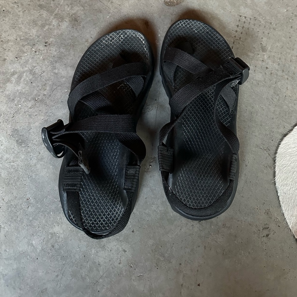 Chaco Women’s Z / 2 classic sandal